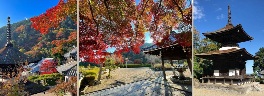 京都善峯寺是京都最好看的紫陽花景點