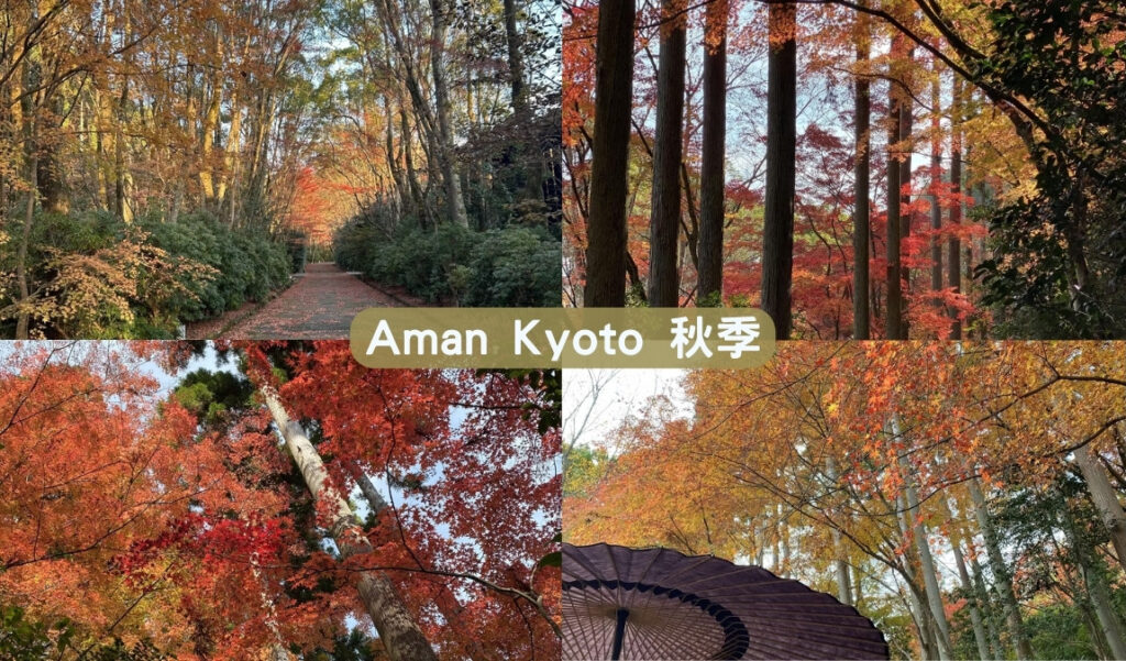 安縵京都Aman Kyoto 秋天紅葉超級漂亮